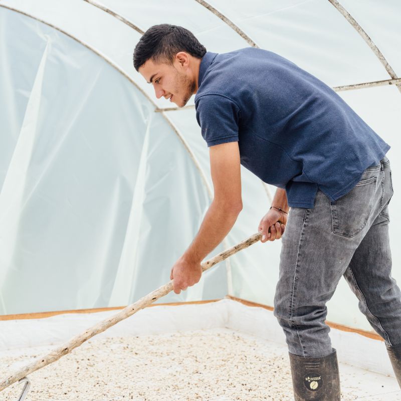 Colombia • Jose Vasquez