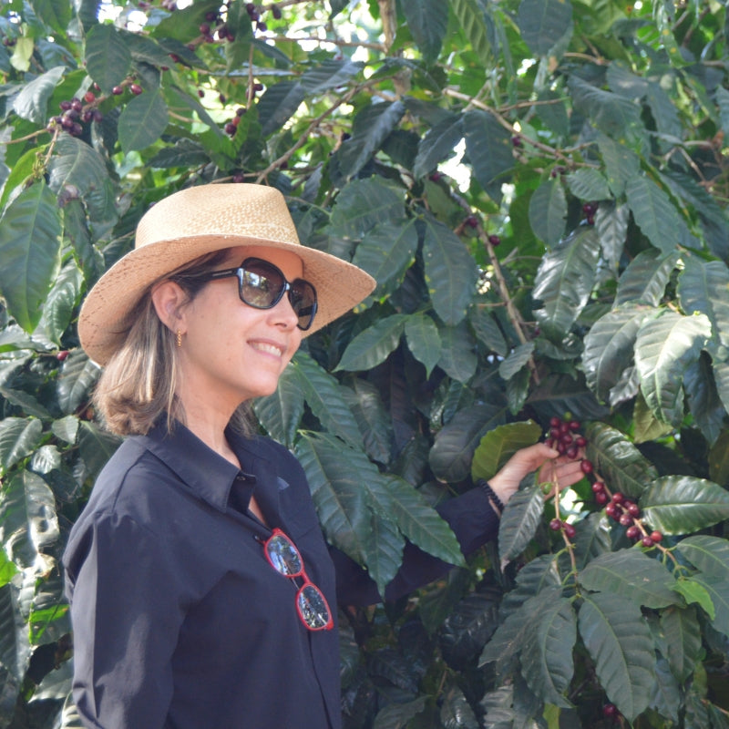 El Salvador • Pacas Estate