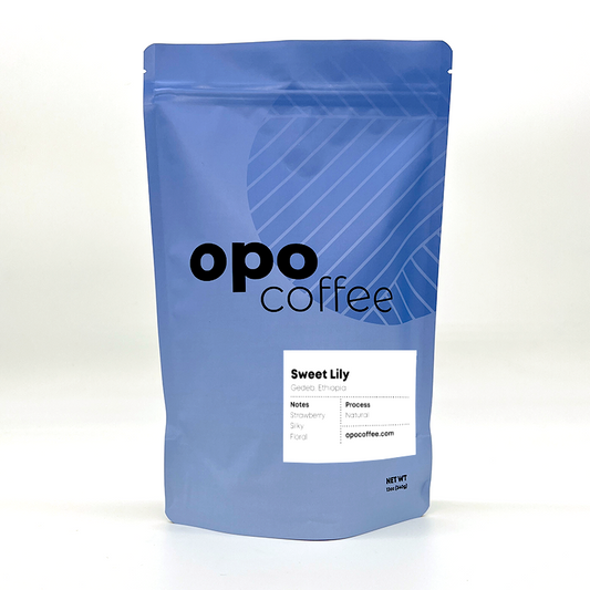 Ethiopia • Sweet Lily