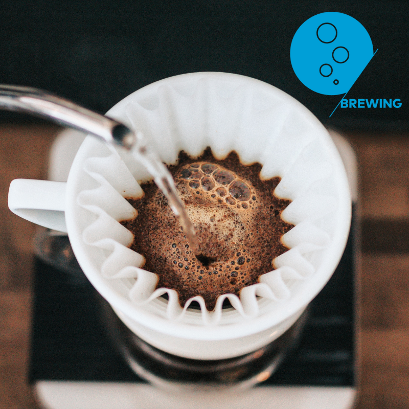 SCA Brewing Foundation Opo Coffee